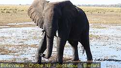 IMG-2856
