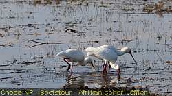 IMG-2862