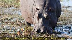 IMG-2925