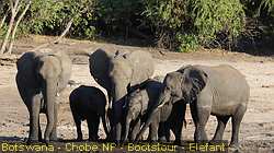 IMG-2927