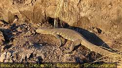 IMG-2967