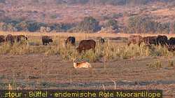 IMG-2992