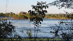 IMG_6690