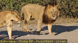 IMG-3066