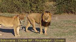 IMG-3071
