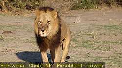 IMG-3073