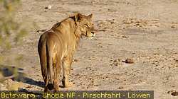 IMG-3080