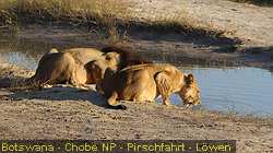 IMG-3084