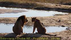 IMG-3111