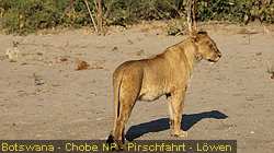 IMG-3112
