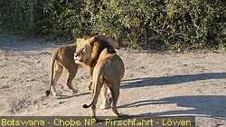 IMG-3124