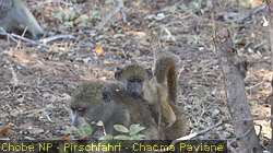IMG-3158