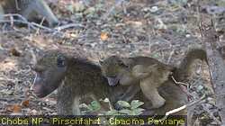IMG-3160