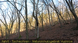 IMG_3194