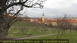 IMG_3234