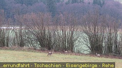 IMG_3302