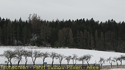 IMG_3891