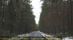 IMG_3909