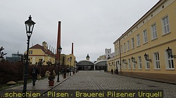 IMG_3916