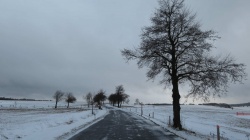 IMG_3931
