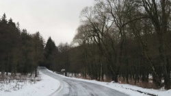 IMG_3933