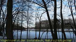 IMG_4831