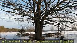 IMG_4951