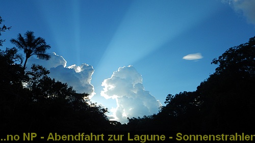 DSCN0610