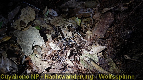 DSCN0641