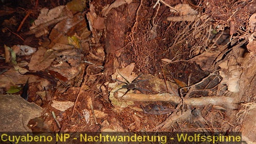 DSCN0642