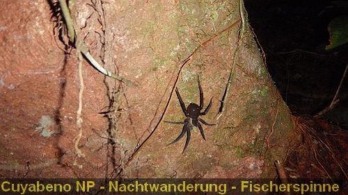 DSCN0647