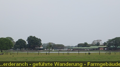 IMG_0564