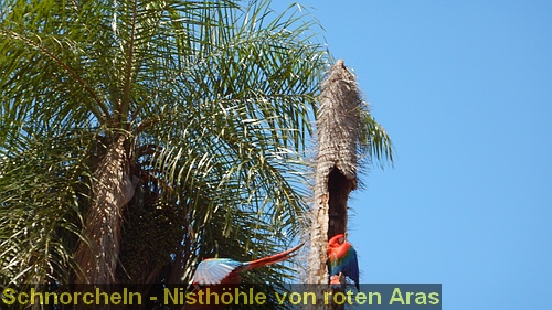 DSCN1226