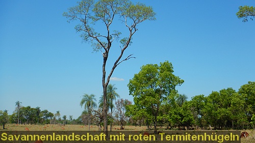 DSCN1228