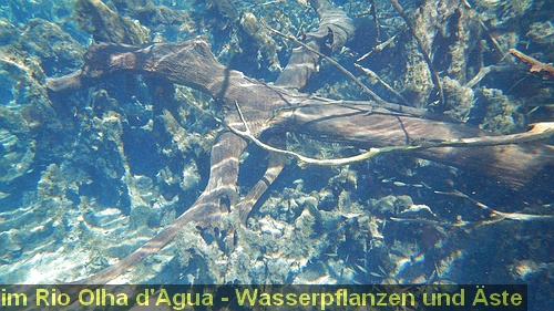 DSCN1290