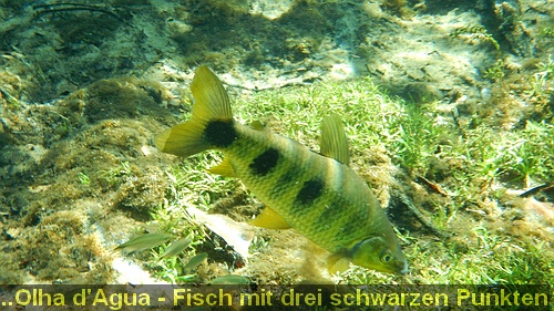 DSCN1320