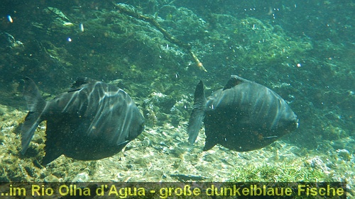 DSCN1325
