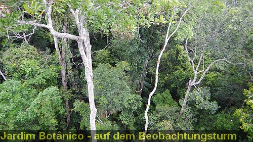 DSCN1502