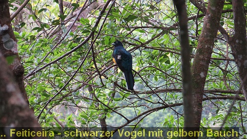 IMG_4067