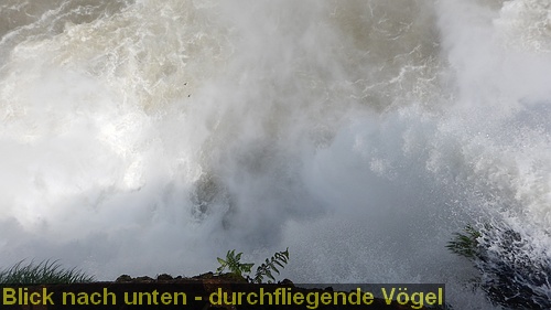 DSCN1684