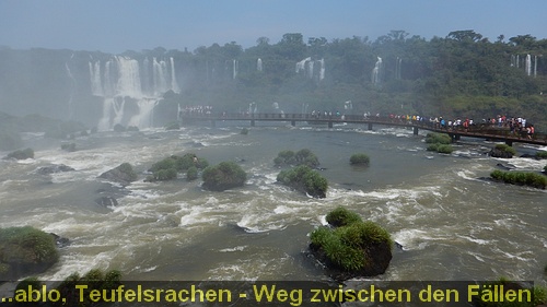 DSCN1700