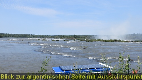 IMG_4556