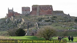 IMG_4075