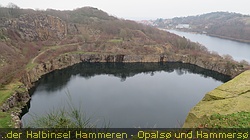 IMG_4347