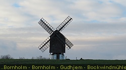 IMG_4551