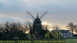 IMG_4572