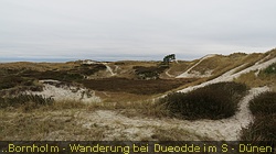 IMG_4847