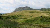 IMG_6119