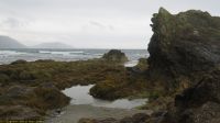 IMG_6479