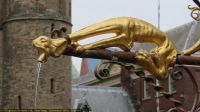 IMG_4551